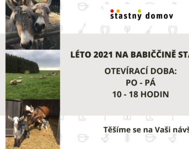 Léto na Babiččině statku 2021