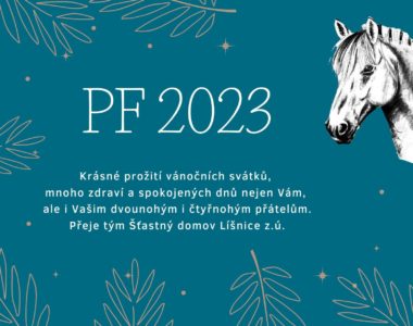 PF 2023