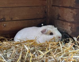 Přihlašování na výlety pro MŠ a ZŠ spuštěno