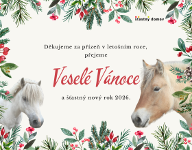 Přejeme klidné prožití vánočních svátků..