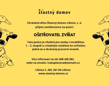 Volná pracovní pozice